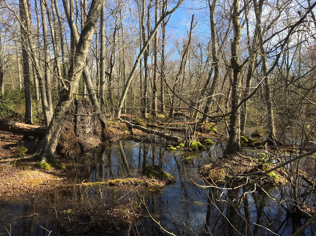 Estell Manor旅游攻略图片