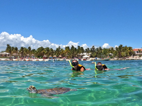 We Love Akumal - Experiencias Locales