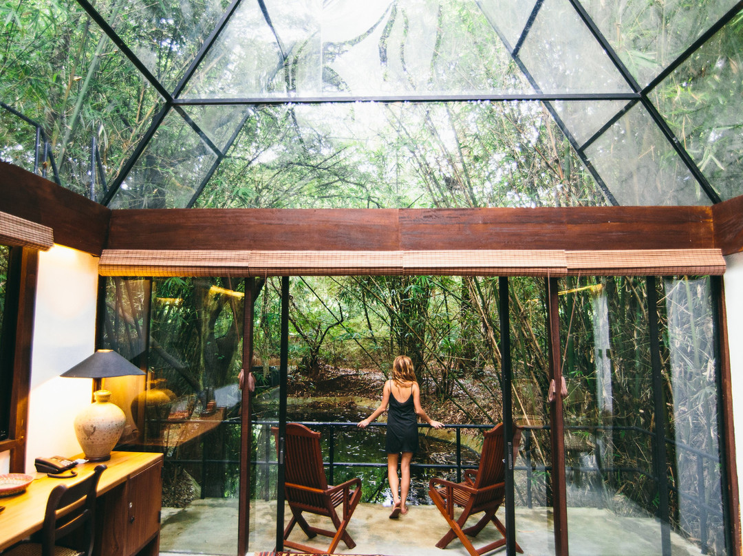 Lenadora酒店住宿-Diyabubula, the Barberyn Art & Jungle Hideaway