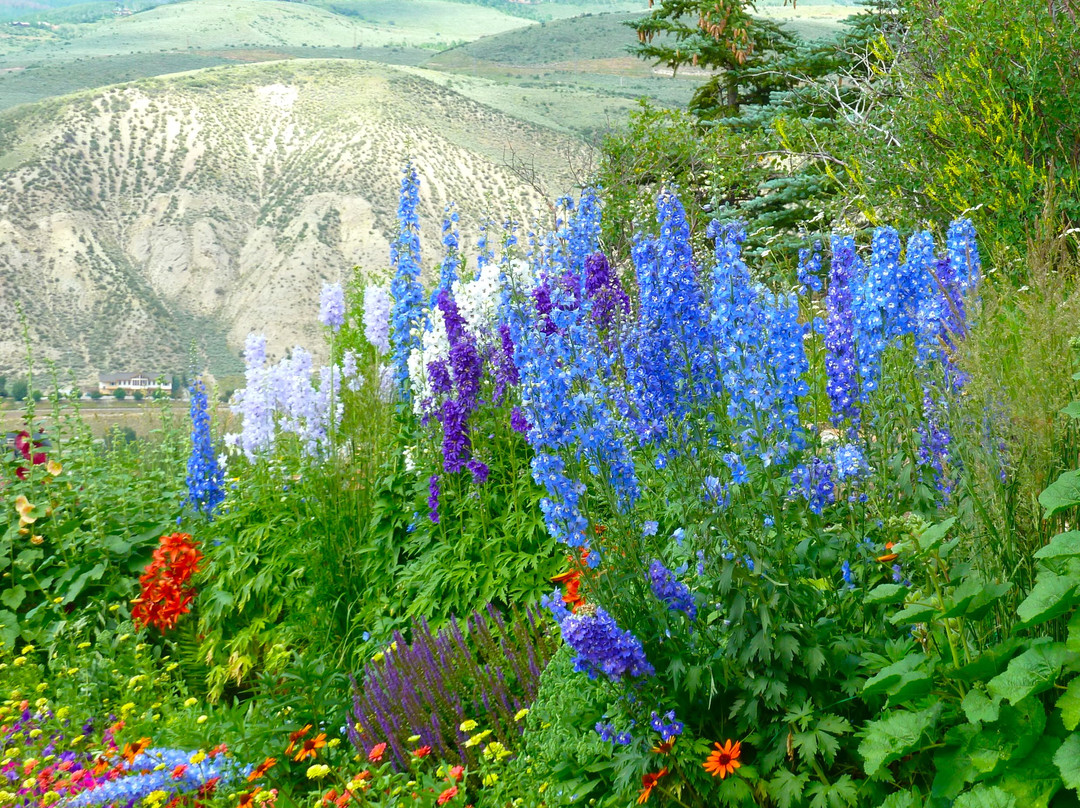 Beaver Creek Hiking Center-Edwards必去景点