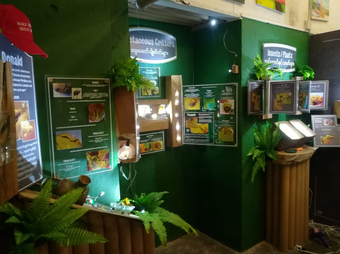 Myanmar Amber Museum-仰光必去景点