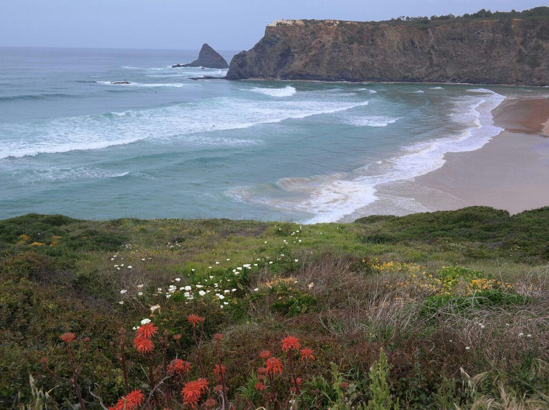 Odeceixe Surf School景点图片