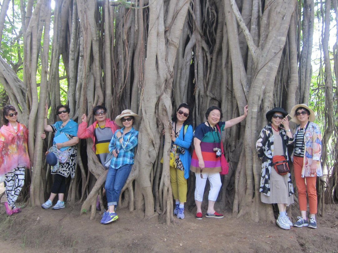 Ceylon leisure travels with sanju-Ja Ela必去景点
