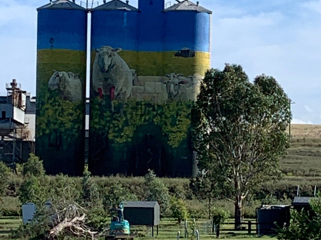 Golden Fleece Motor Inn主图