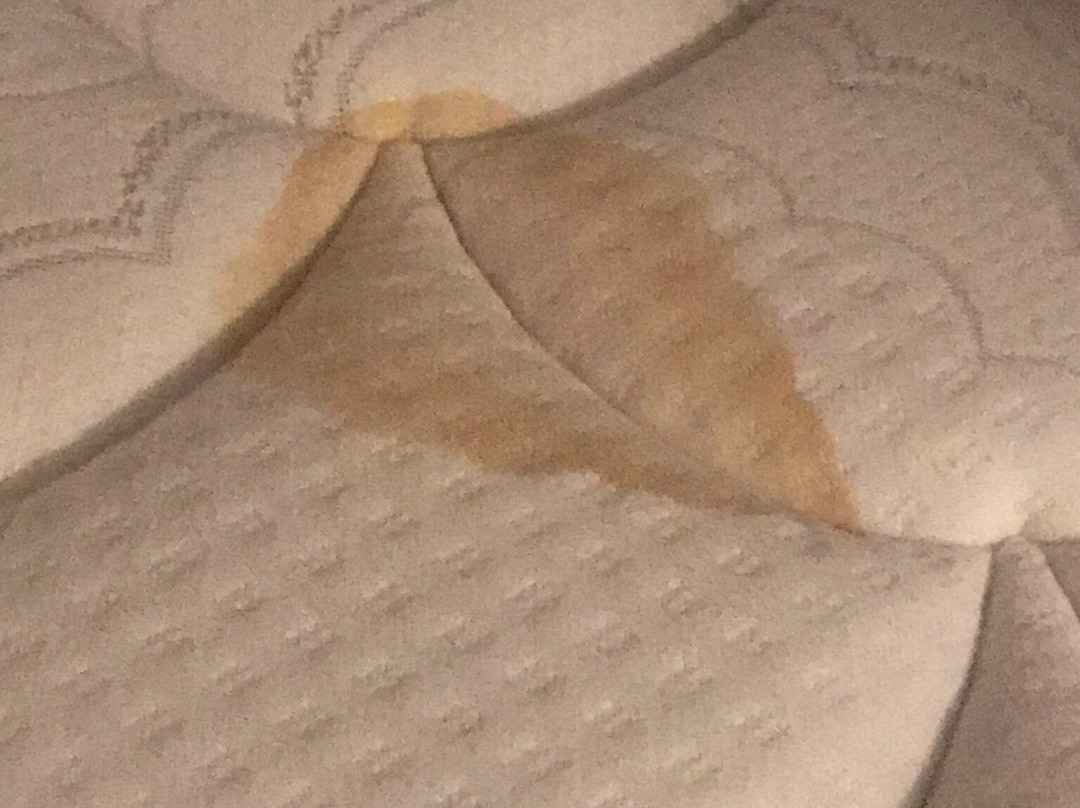 Tru by Hilton Goodyear Phoenix West主图