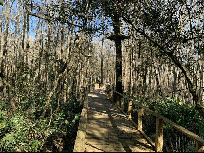 Tallahassee Museum-塔拉哈西必去景点