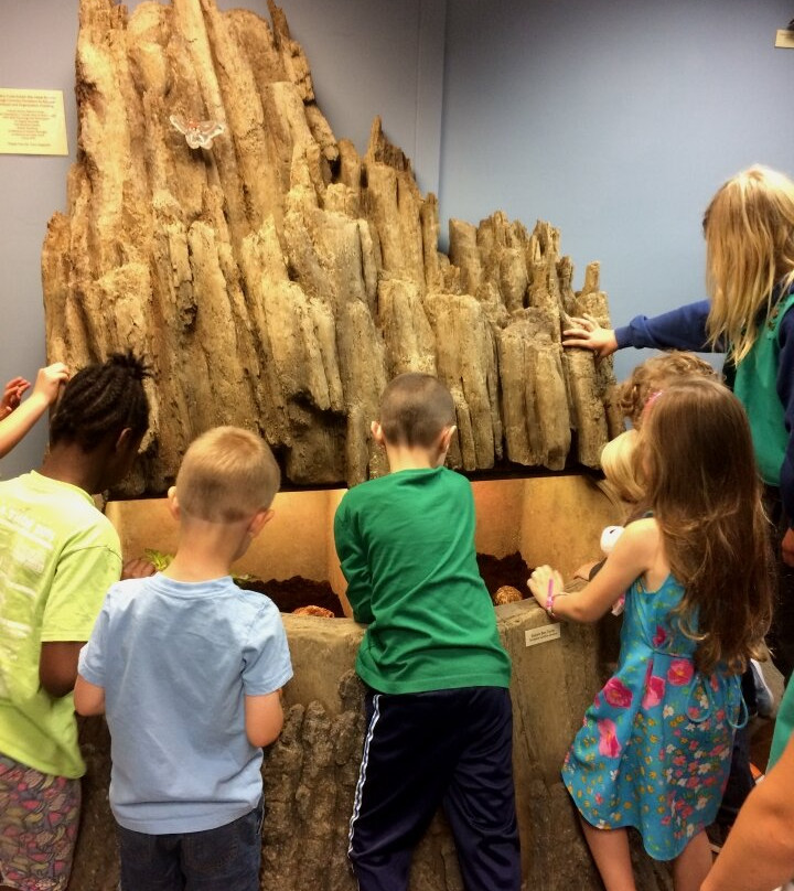 Zionsville Nature Center-Zionsville必去景点