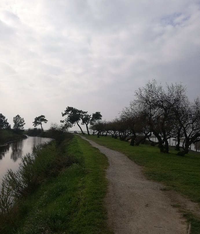 Domaine de Certes et Graveyron-Audenge必去景点