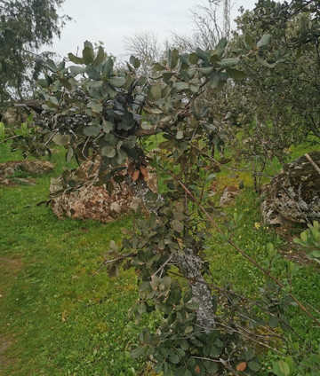 El Canto del Peso-Galapagar必去景点