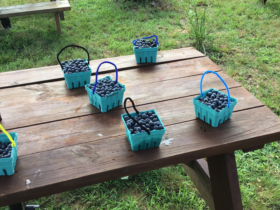 Perry's Berry's Vineyard & Winery-Morganton必去景点