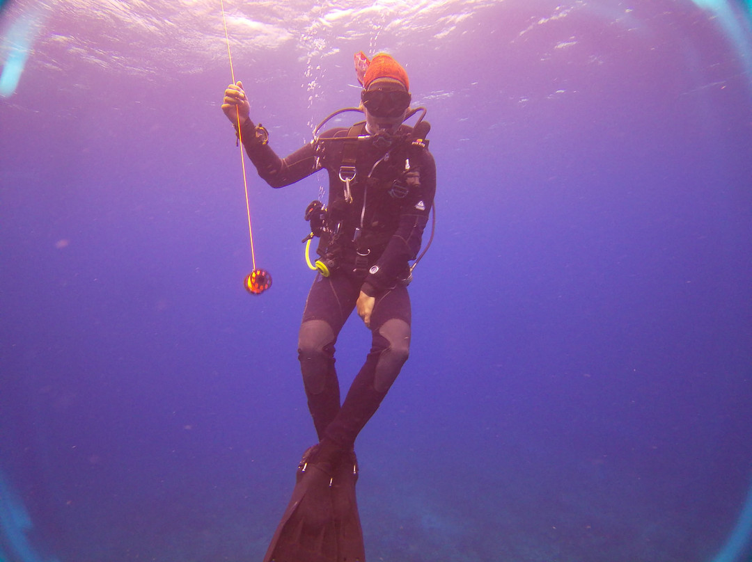 Wet Set Diving Adventures-从莫雷洛斯港必去景点