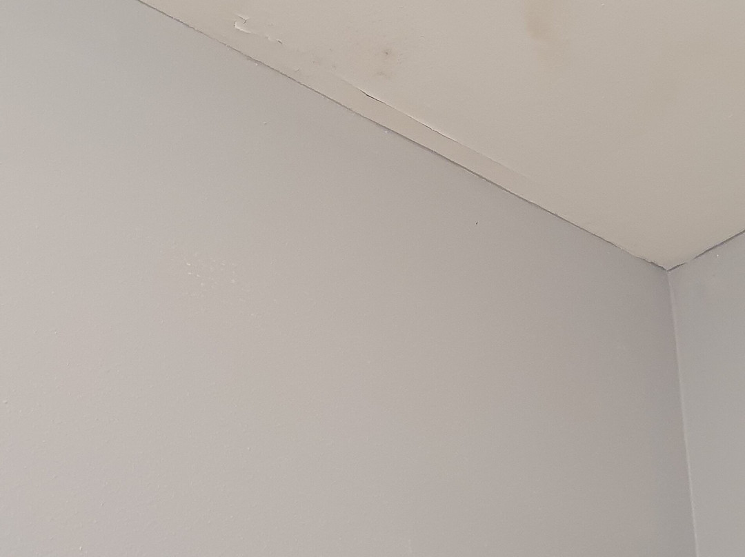 Baymont by Wyndham Albany at Albany Mall主图