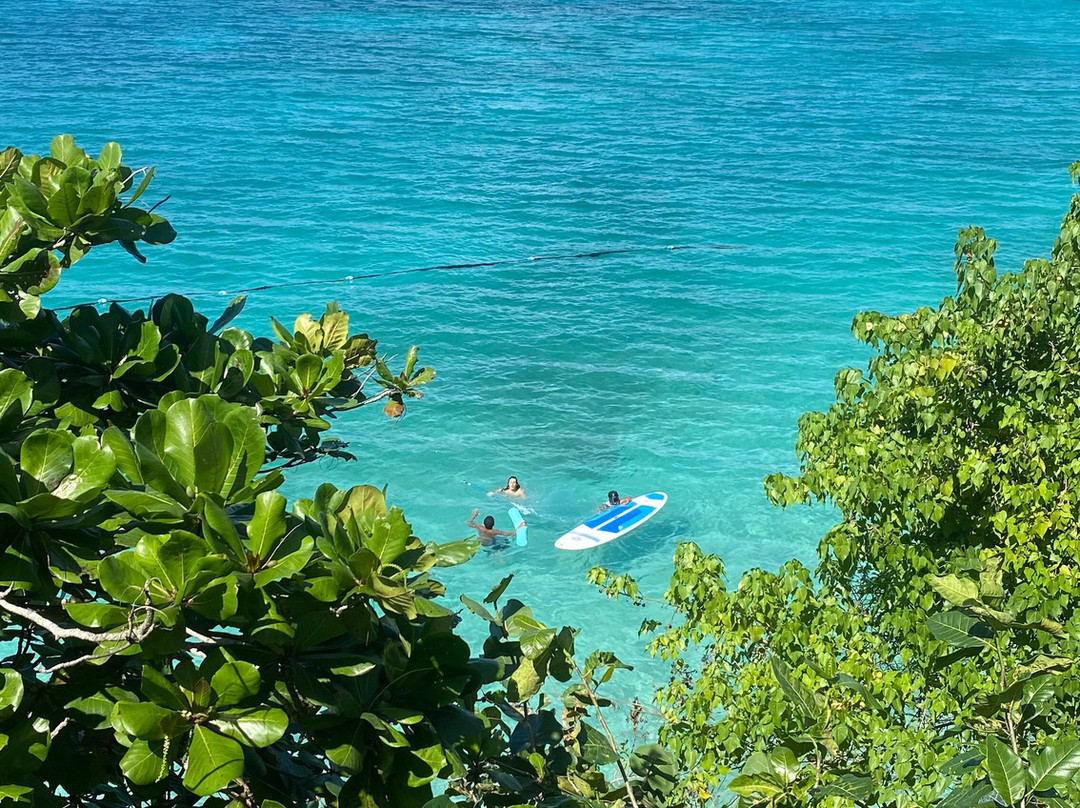 Scotch on the Rocks主图