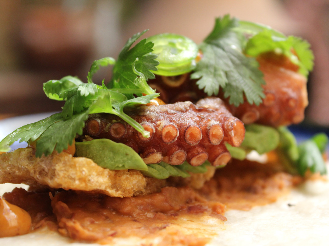 瓦哈卡餐馆和美食-Humar