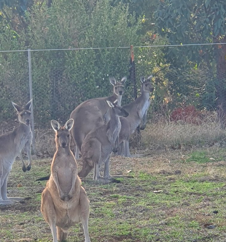 South West Eco Discoveries-戴士柏必去景点