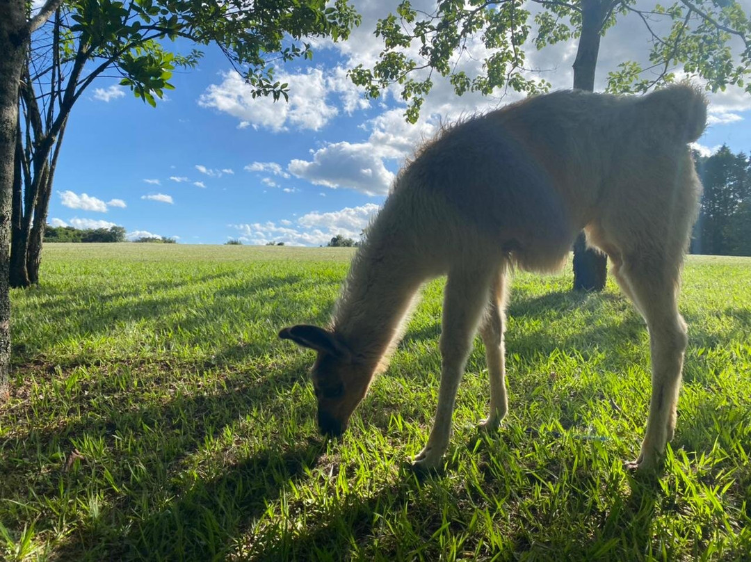 Hotel Carroção主图