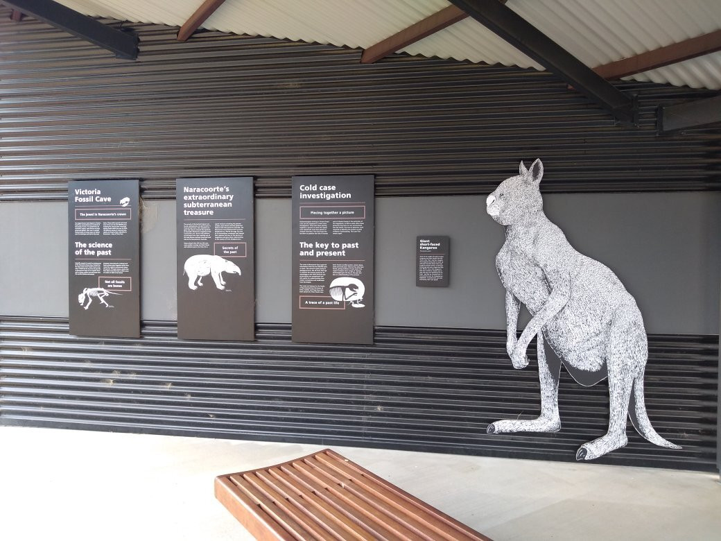 Limestone Cliffs Walk-Naracoorte必去景点