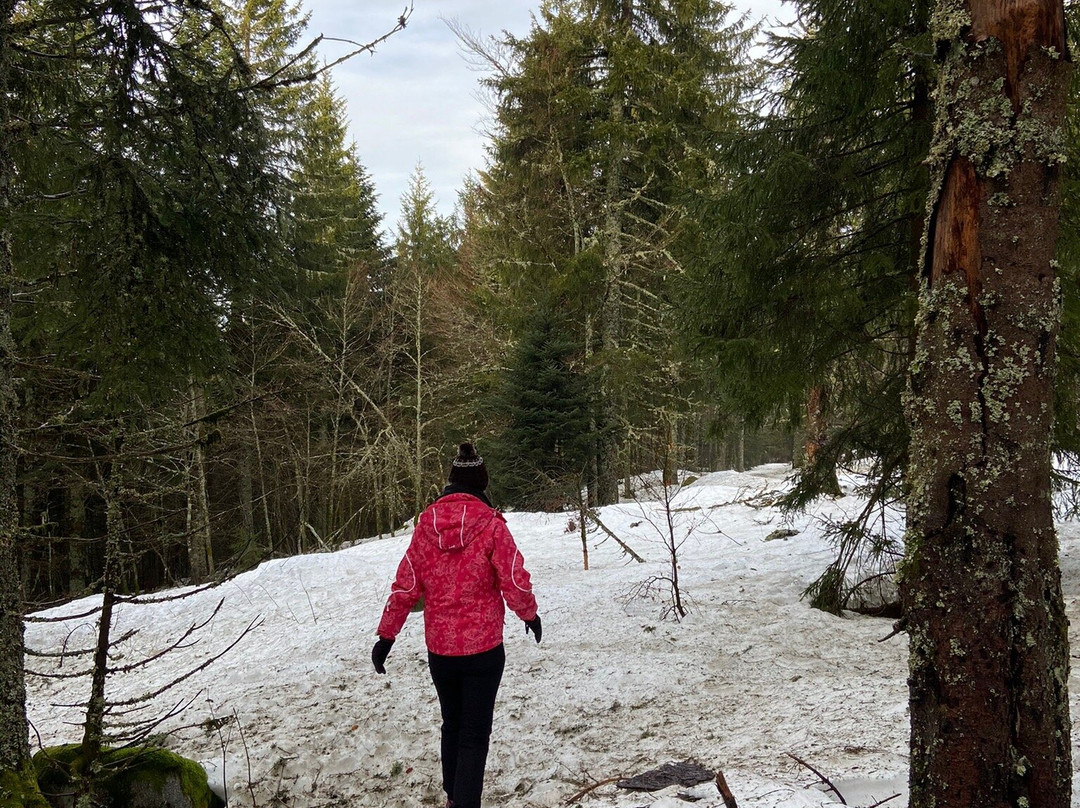 Gerardmer Ski-热拉尔德梅必去景点