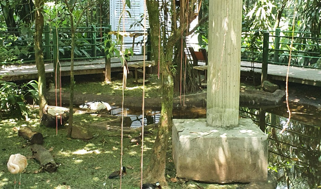 Orchid Garden-桑托斯必去景点