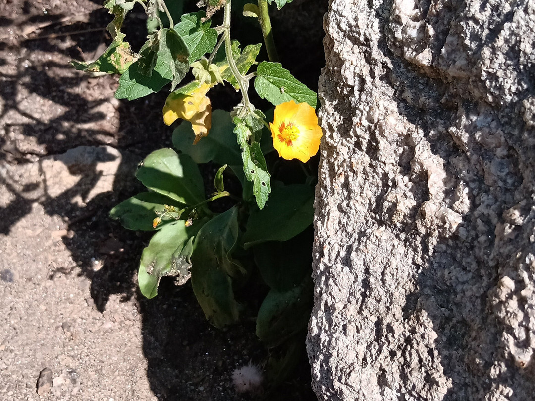 Dique la Viña-Villa Las Rosas必去景点