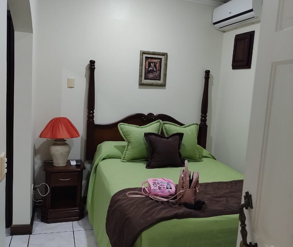 Hotel Iguana Verde主图