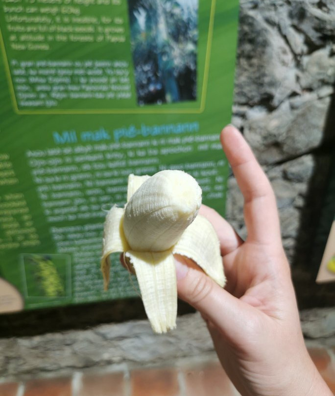 Banana Museum (Le Musee de la Banane)景点图片