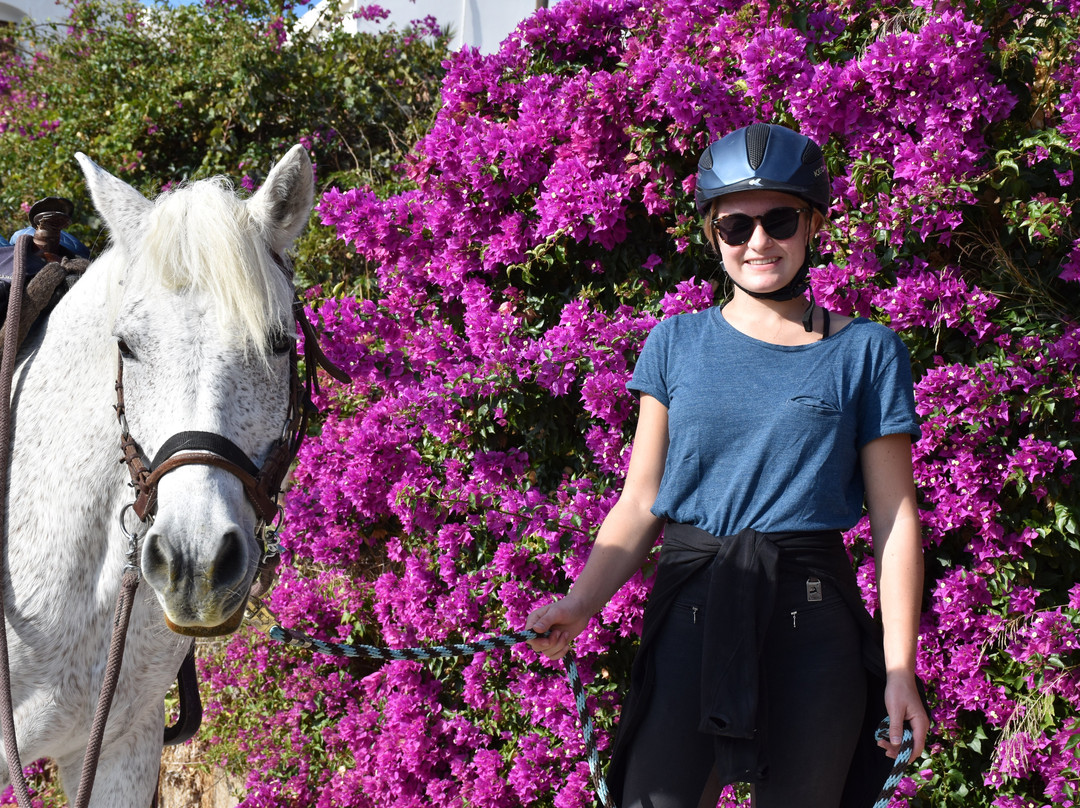 A&E Elpida Ranch-罗德城必去景点