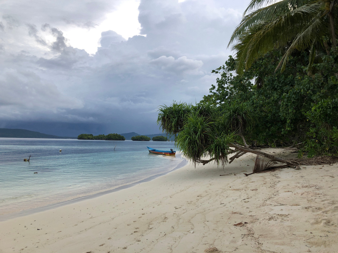 Tarzan-Diving-Gam Island必去景点