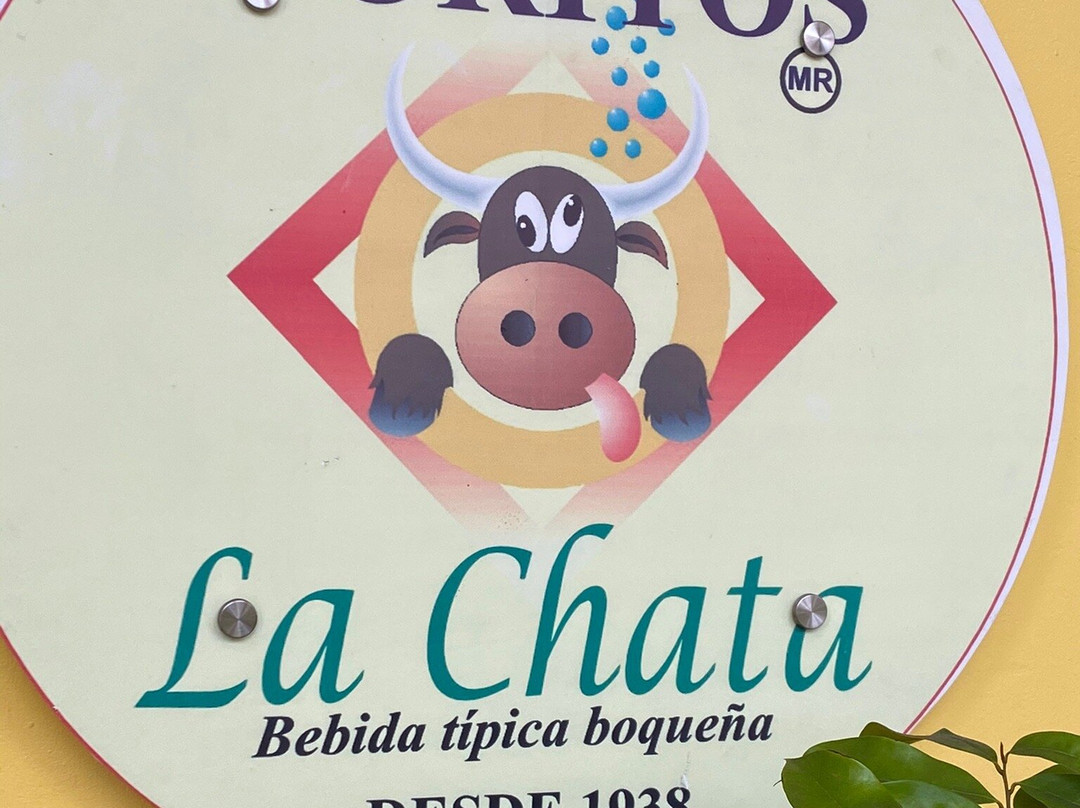 ARENA TOURS-韦拉克鲁斯必去景点