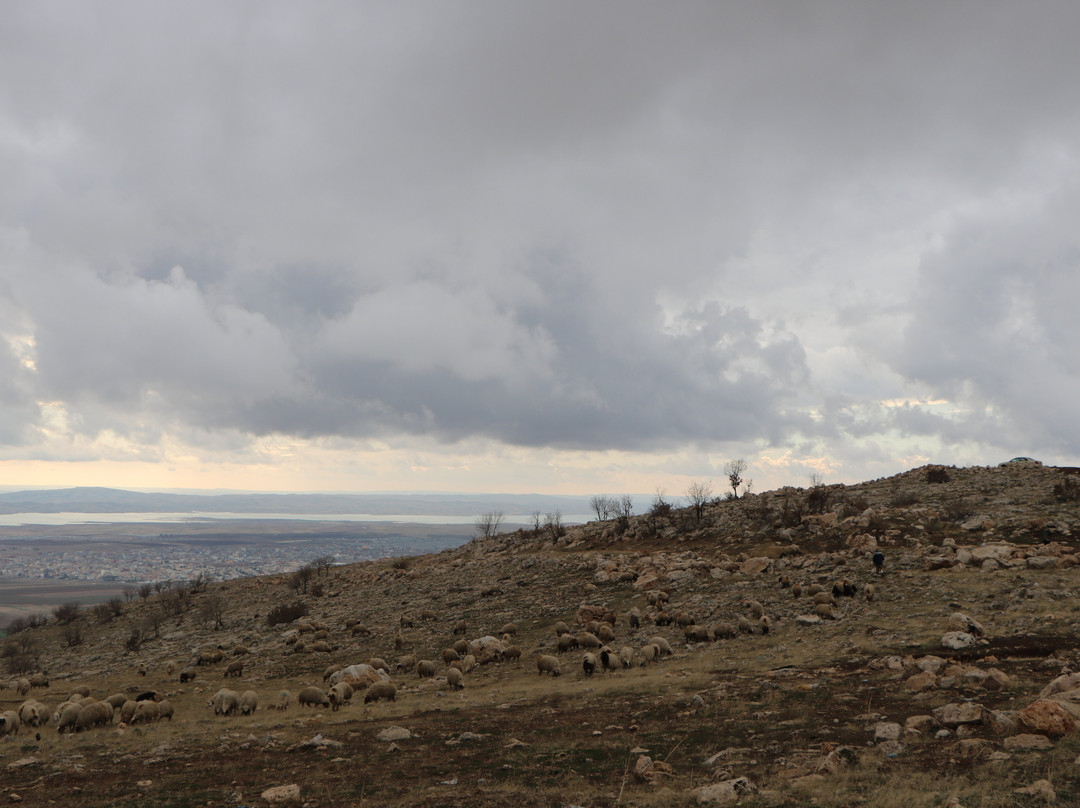 Zawa Mountain景点图片