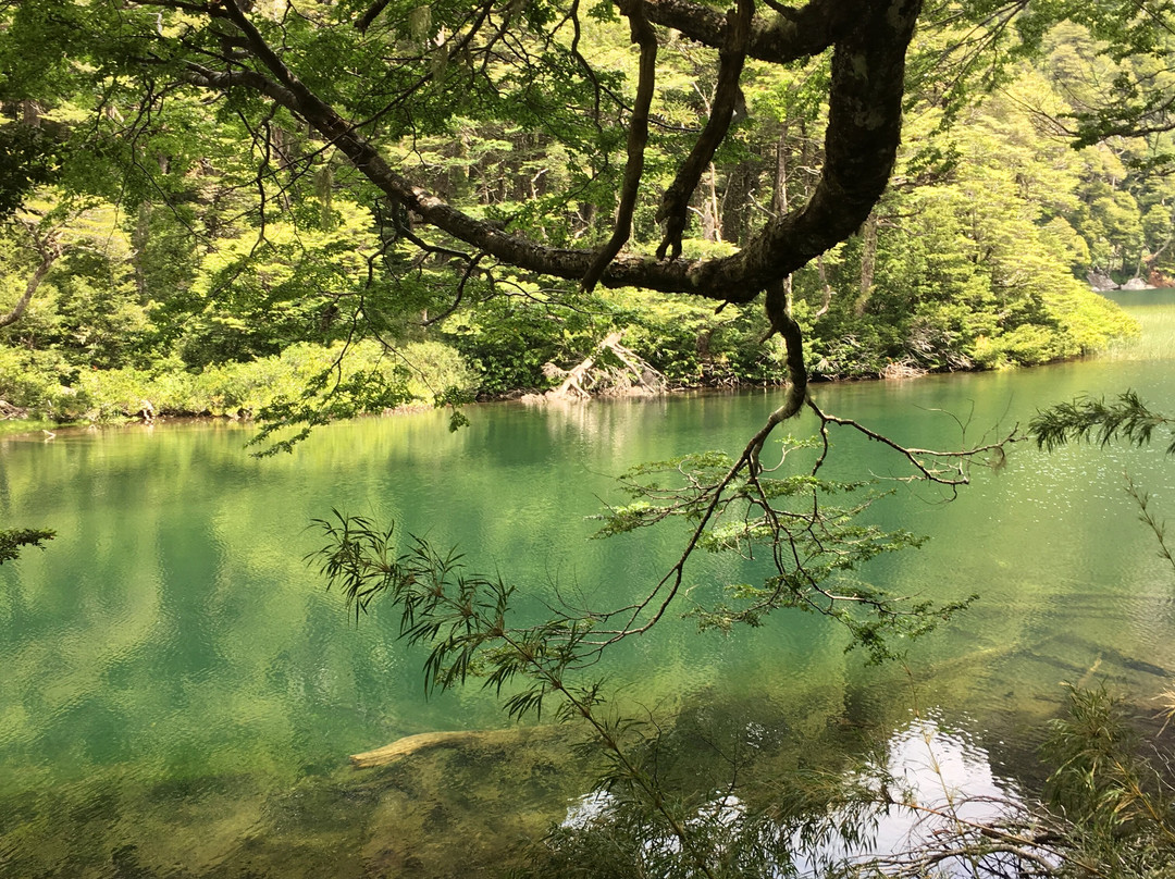 Huerquehue National Park-普孔必去景点