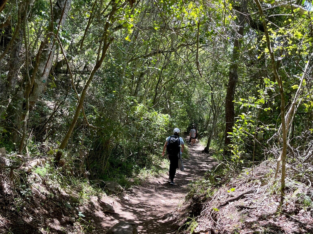 Half Collared Kingfisher Trail-荒野必去景点