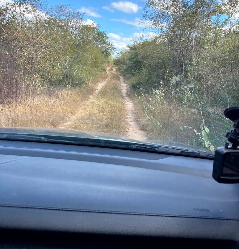 Cenote Yax Ha-Abala必去景点