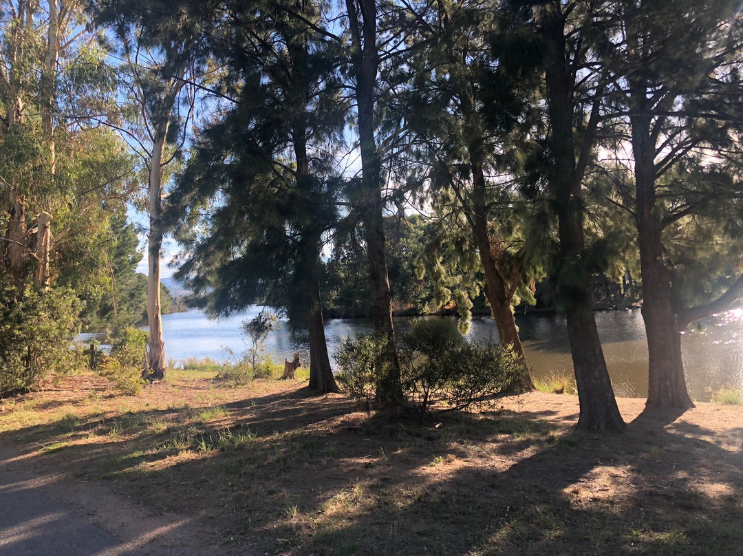 Lake Tuggeranong景点图片