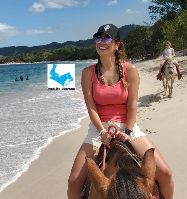Pacific Horses景点图片