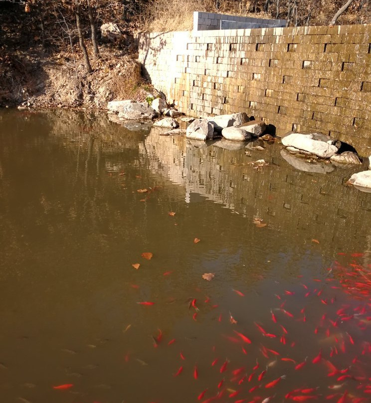 横山寺-大连市必去景点
