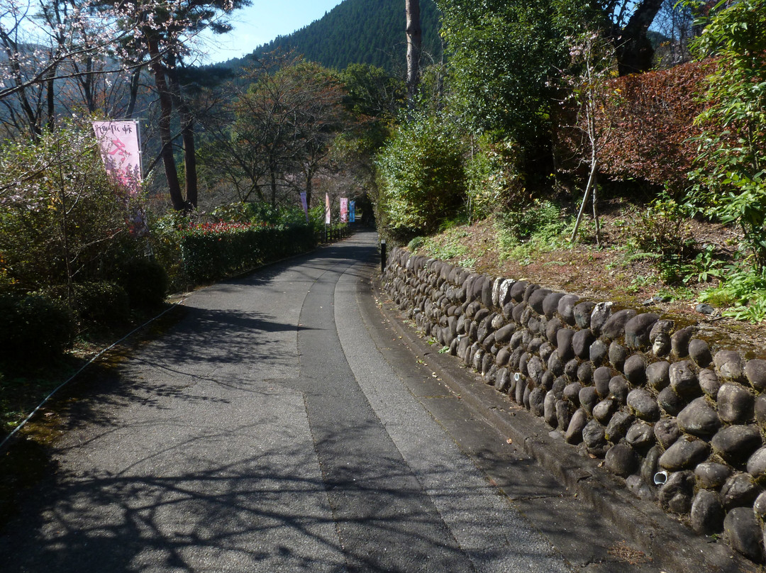 Jomine Park-神川町必去景点