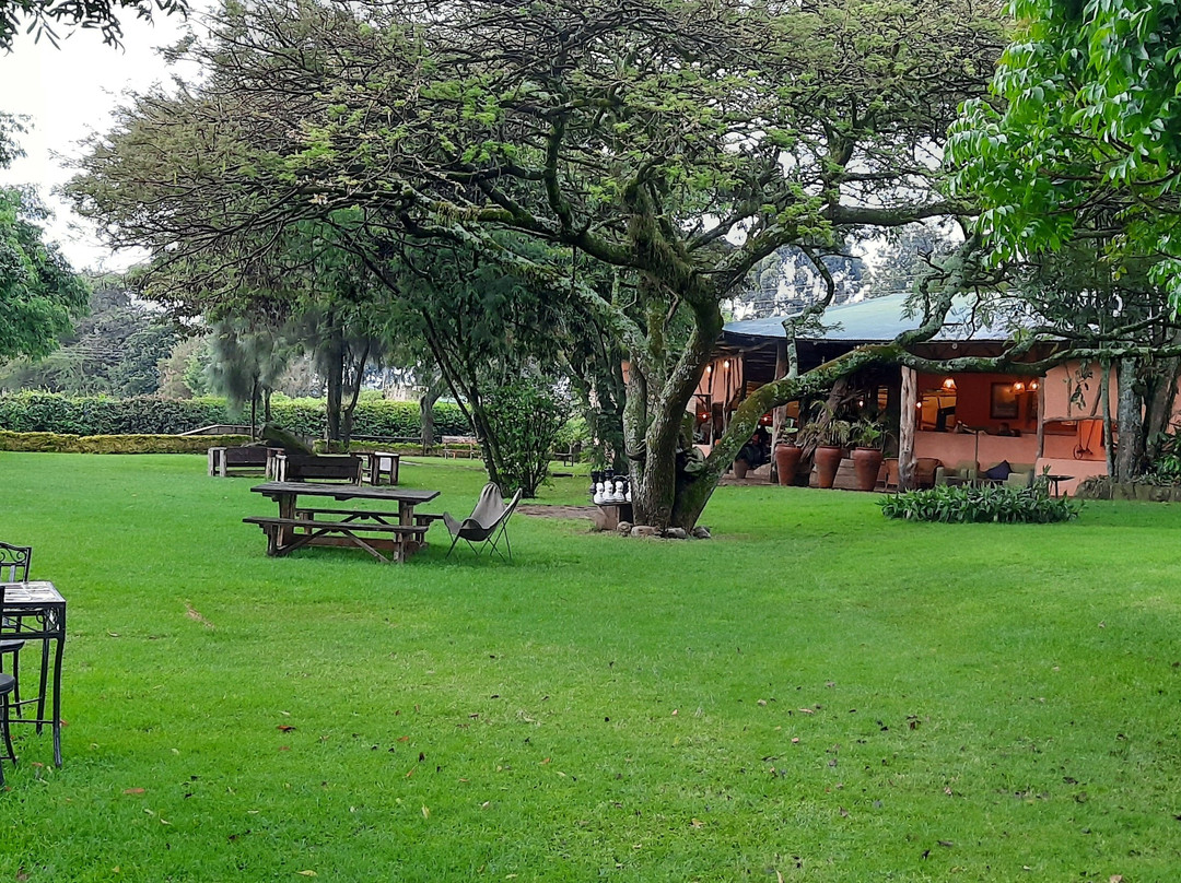 Baiskeli Adventures-内罗毕必去景点