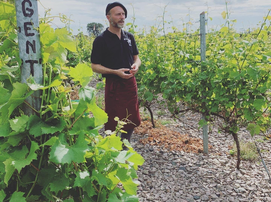 Vejby Vingaard Marani Wine Cellar-Vejbystrand必去景点