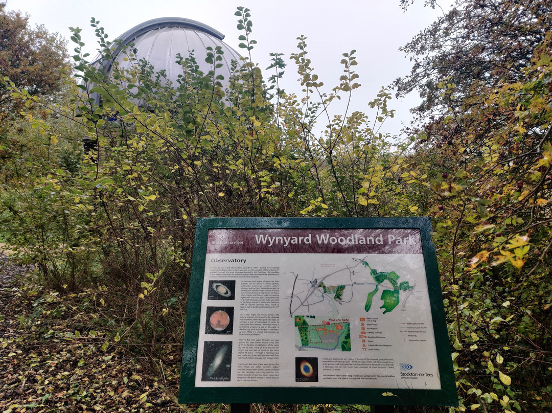Wynyard Woodland Park-斯托克顿提斯必去景点