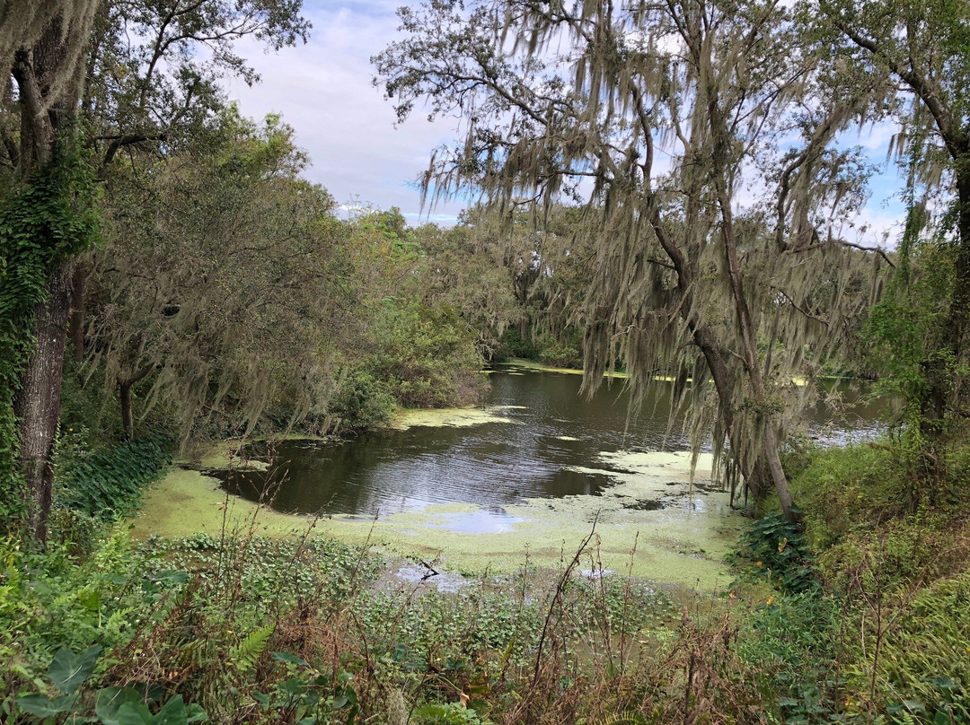 Edward Medard Regional Park-普兰特城必去景点