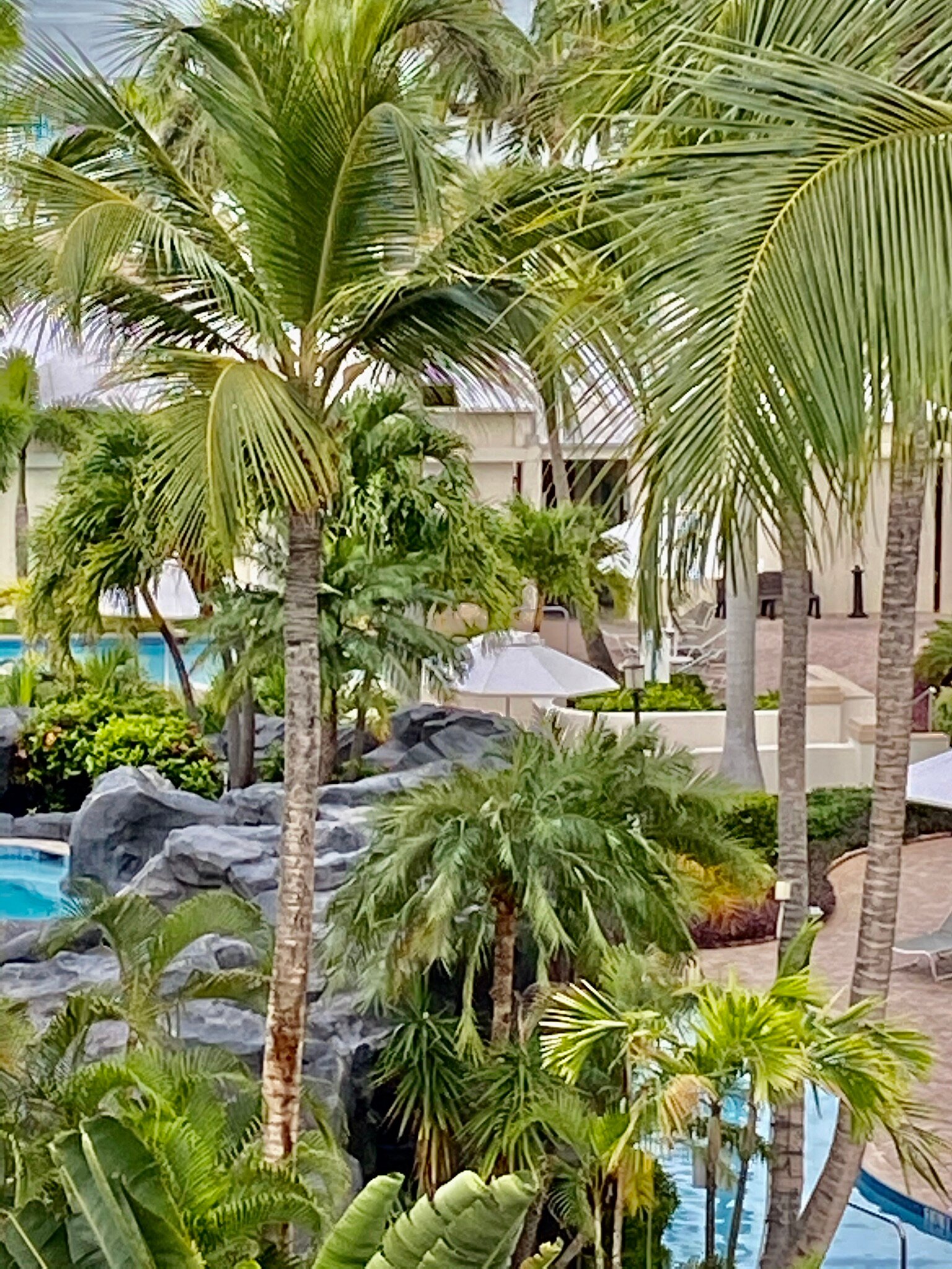 Marriott's Aruba Ocean Club-泳池