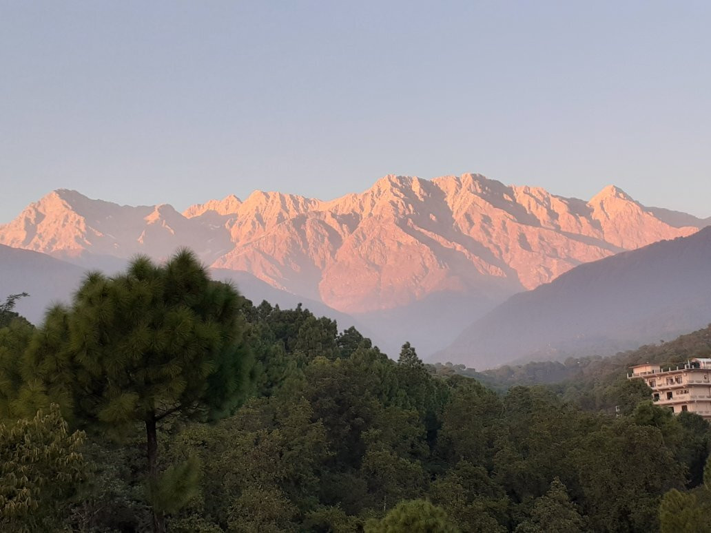 Mastiff Hotel Gopalpur主图