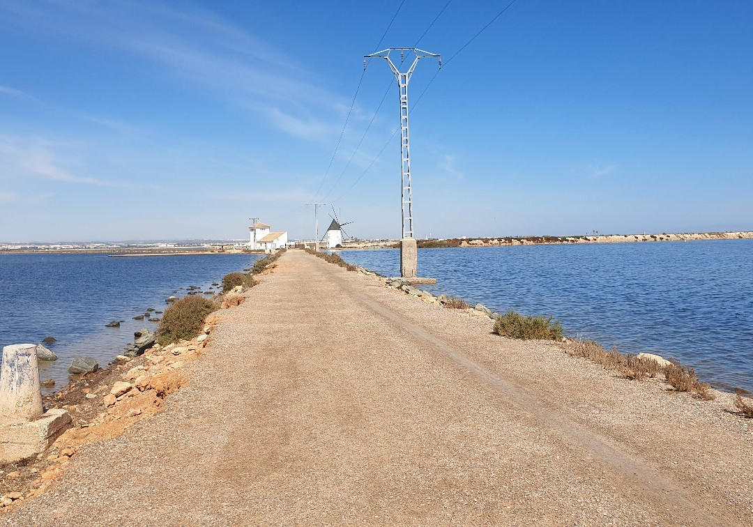 Molino Calcetera-San Pedro del Pinatar必去景点