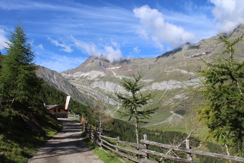 Malga Faltschnal Alm