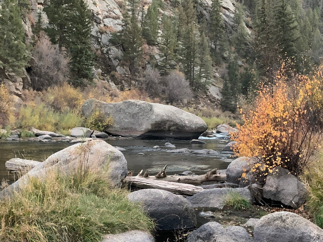 Eleven Mile Canyon Recreation Area-Lake George必去景点