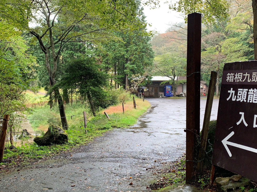 Kuzuryu Shrine-箱根町必去景点