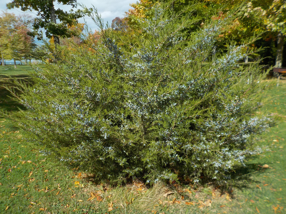 Lakeside Beach State Park-Waterport必去景点