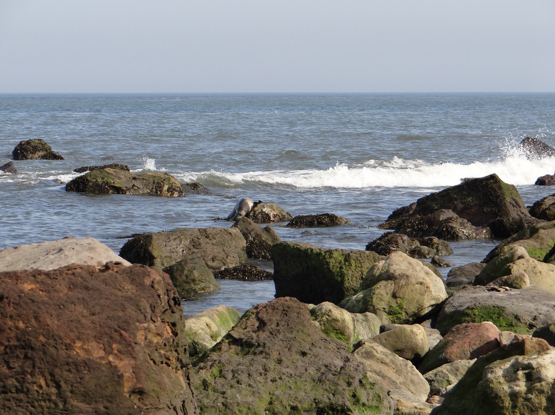 Saltwick Bay Beach-惠特比必去景点