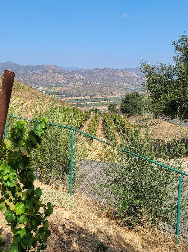 Espinosa Vineyards景点图片